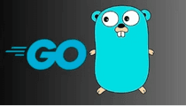 Golang For Absolute Beginners