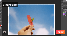 Absolute Beginner's Guide to Editing Images in Free Photopea